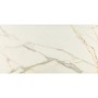 Renoir Gold 60x120R