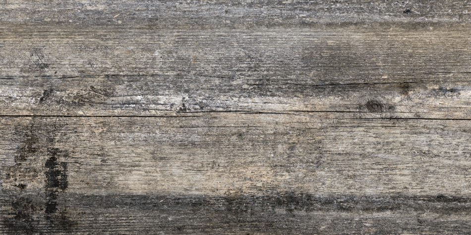 TEXTURA PROPIAS