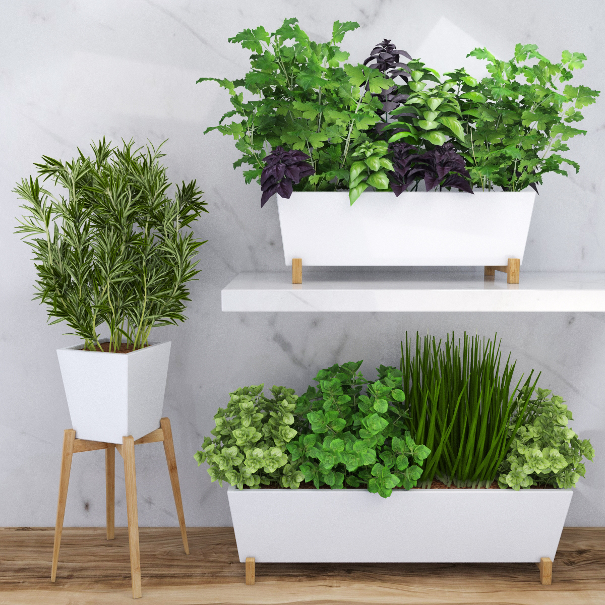 PLANTAS