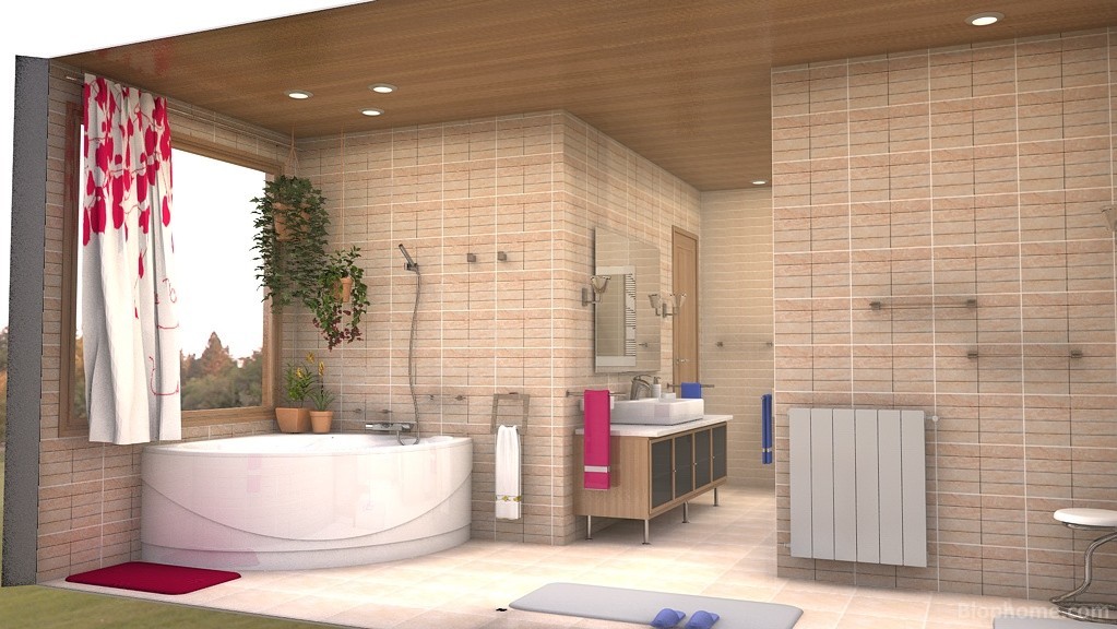 baño5