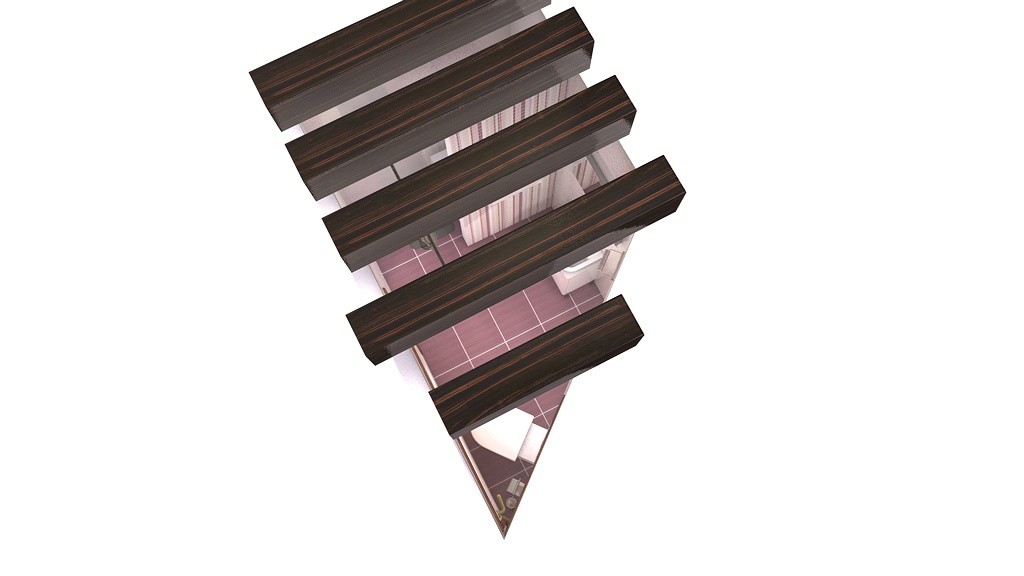 ANA - 1