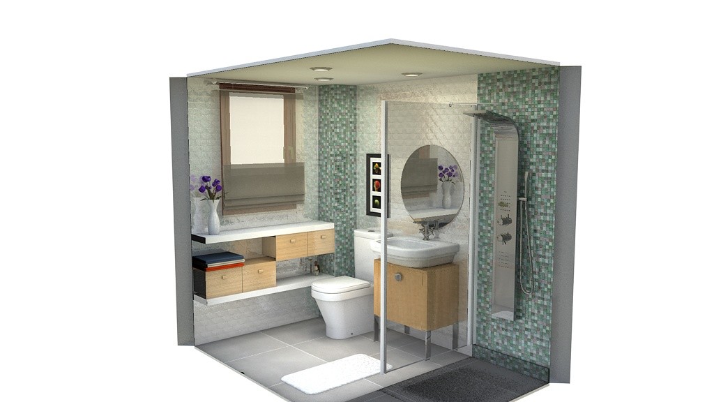 Baño1