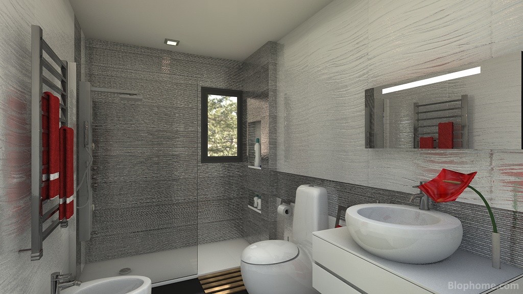 baño novato - 1