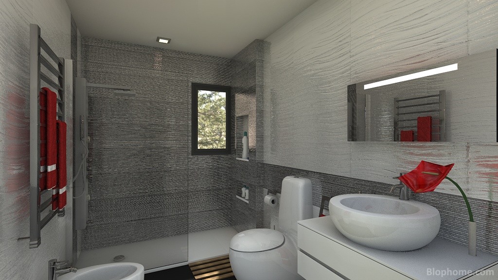 baño novato - 2