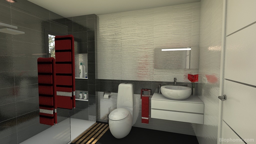 baño novato - 4