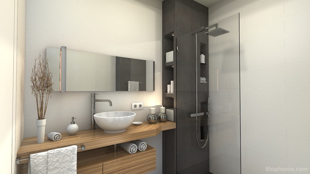 baño saravc - 2