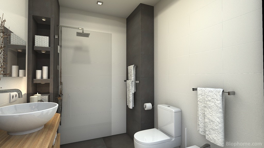 baño saravc - 3