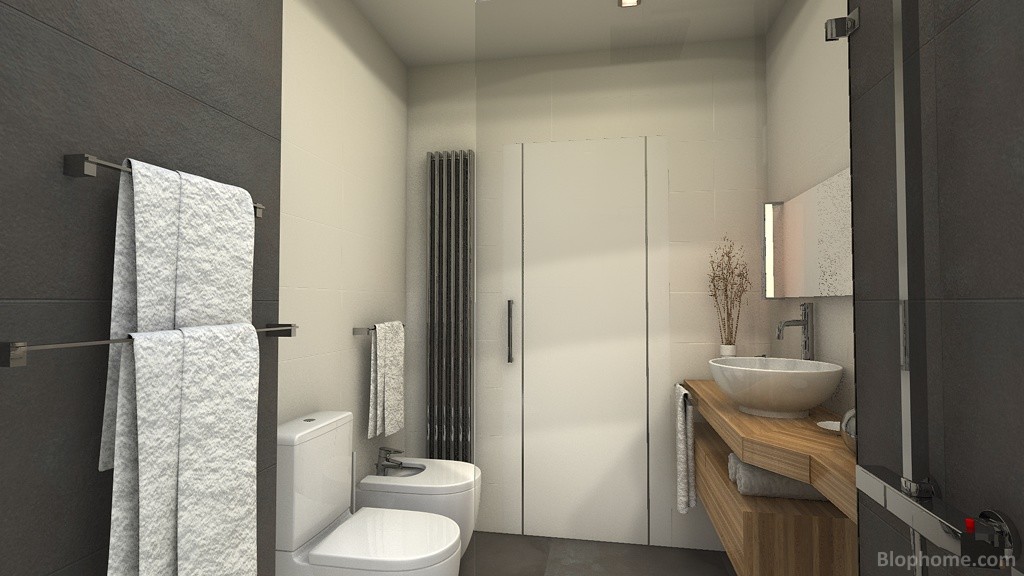 baño saravc - 4