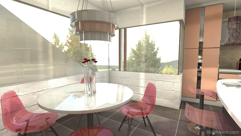 salon comedor - 10
