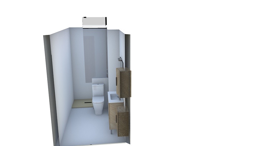 baño1