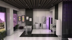 baño negro - 1