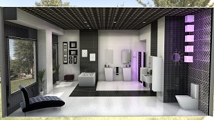 baño negro - 2