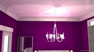 morado - 6