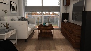 Salón-comedor-n - 5