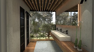 BAÑOS SUIZO - 3