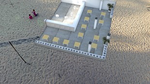 pelicano - 1