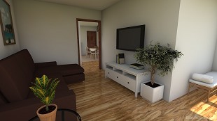 NELI_EINSTEIN - 1