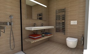 baño virginia - 1