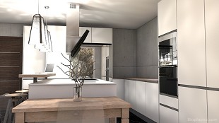 sergio niebla - 1